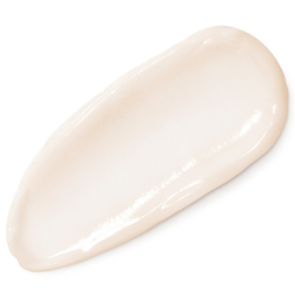 Vichy Neovadiol Droge Huid Verstevigende Liftende Dagcrème 50ml